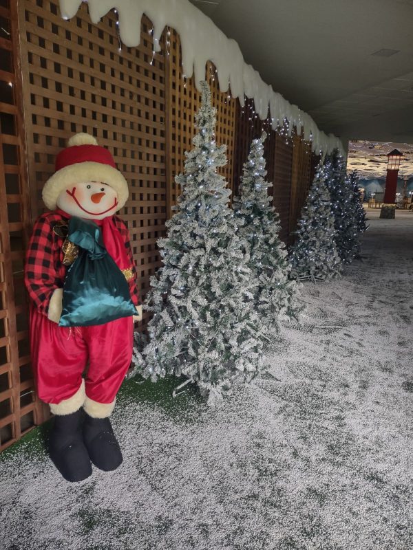 FOTOS: Vila Germânica está linda para receber o Natal em Blumenau | ND Mais