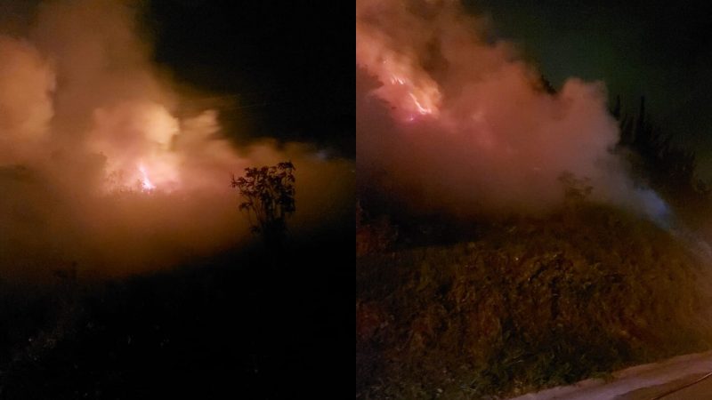 Inc&ecirc;ndio destr&oacute;i 30 mil metros quadrados de mata nativa em Itapema – Foto: Corpo de Bombeiros Militar/Divulga&ccedil;&atilde;o/ND