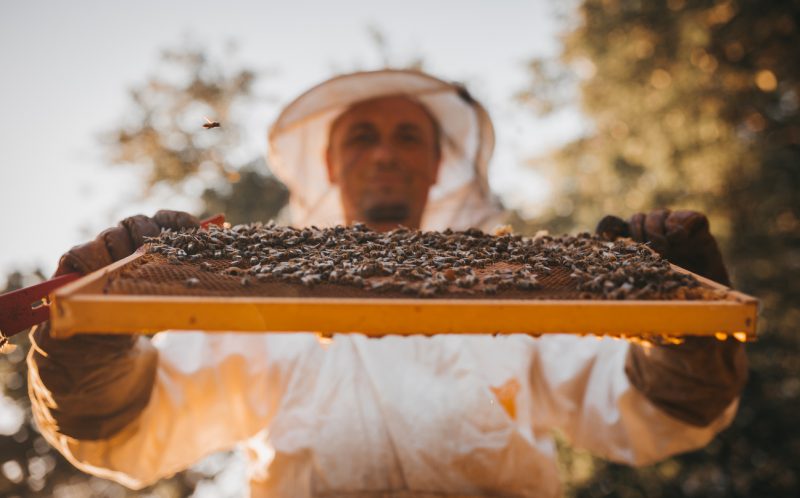 O mel também passa por um aparelho de filtragem de pequenas impurezas e entra em processo de decantação em tonéis &#8211; Foto: Divulgação