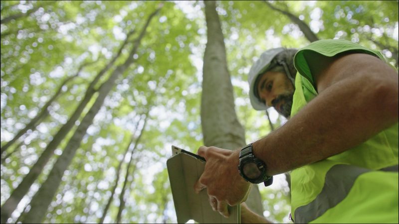 O CREA-SC trabalha para a valoriza&ccedil;&atilde;o dos profissionais do setor tecnol&oacute;gico e tem registrados aproximadamente 1.600 engenheiros florestais – Foto: Divulga&ccedil;&atilde;o