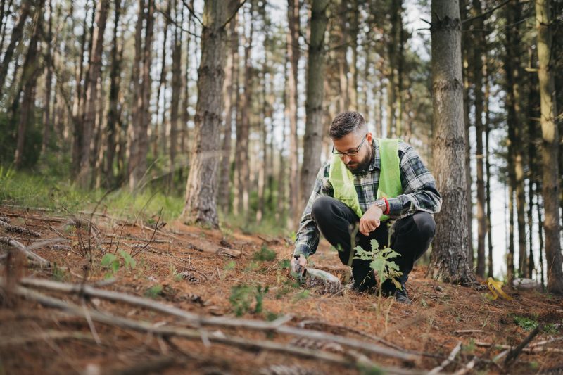 Tecnologias foram desenvolvidas e implementadas a fim de garantir bons resultados no ecossistema atrav&eacute;s do conhecimento e do preparo dos engenheiros florestais – Foto: Divulga&ccedil;&atilde;o