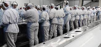 Cerca de cinco mil trabalhadores, apenas em dois frigor&iacute;ficos, foram diretamente afetados com o bloqueio de rodovias o Sul de SC. – Foto: Divulga&ccedil;&atilde;o