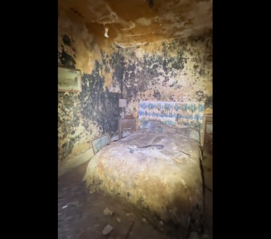 Aluguel de apartamento em Florian&oacute;polis vira meme na internet – Foto: Reprodu&ccedil;&atilde;o/Twitter/ND