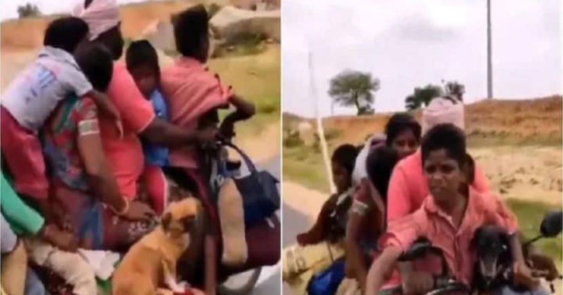Fam&iacute;lia, cachorros e galinhas sobre moto: v&iacute;deo viraliza na web – Foto: Reprodu&ccedil;&atilde;o