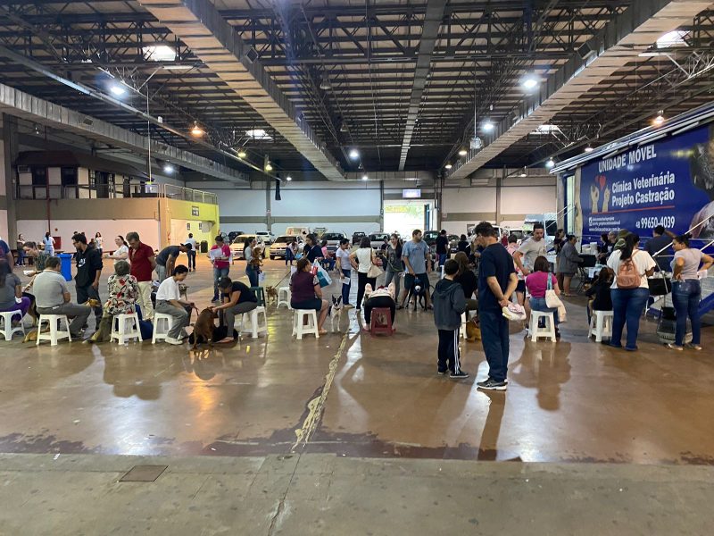 Mutir&atilde;o gratuito de castra&ccedil;&atilde;o acontece em Blumenau – Foto: Mois&eacute;s Stuker/NDTV