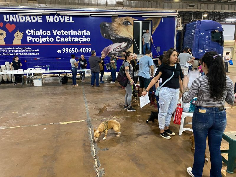 Mutir&atilde;o para castra&ccedil;&atilde;o de c&atilde;es e gatos ser&aacute; em 5 de fevereiro e inscri&ccedil;&otilde;es est&atilde;o abertas – Foto: Arquivo/Mois&eacute;s Stuker/NDTV