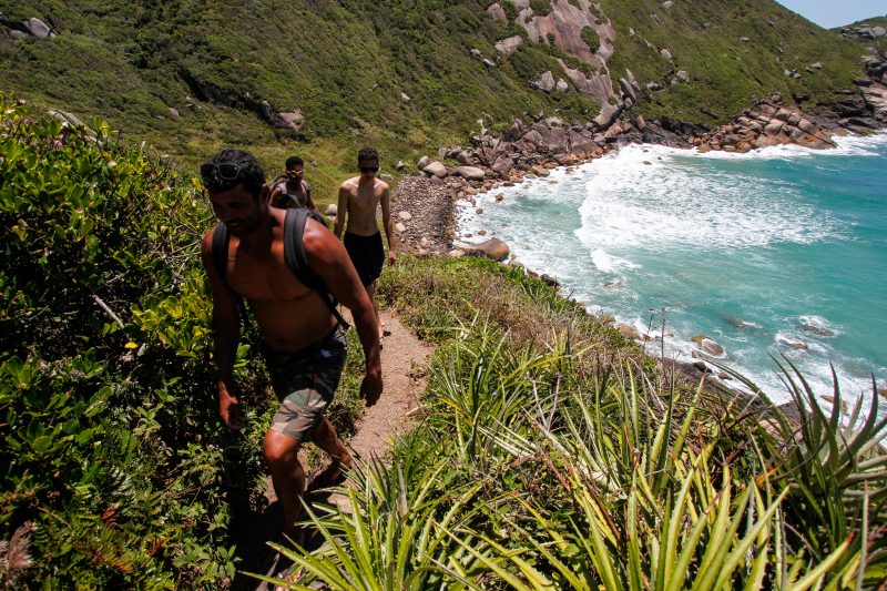 Trilha para a Praia Secreta, em Florianópolis