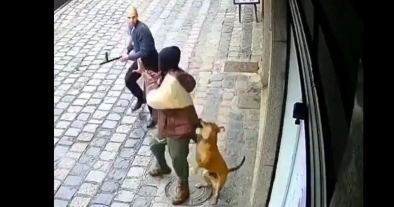 Ataque covarde aconteceu no Centro de Curitiba, &agrave; luz do dia – Foto: Reprodu&ccedil;&atilde;o