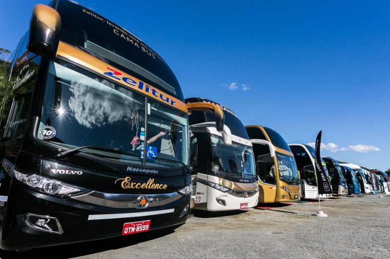 &Ocirc;nibus de turismo ter&atilde;o estacionamento pr&oacute;prio na Capital – Foto: Divulga&ccedil;&atilde;o