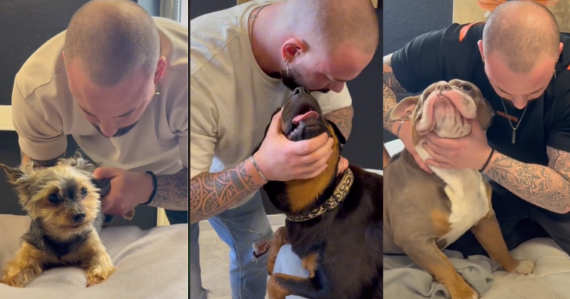 Homem bomba fazendo massagens em pets – Foto: TikTok/Reprodu&ccedil;&atilde;o/ND