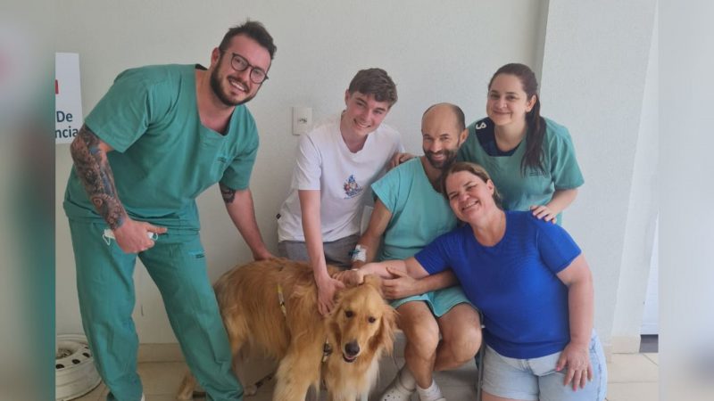Ap&oacute;s 14 dias na UTI, paciente se reencontra com filho e pet e emociona equipe de hospital em SC – Foto: Hospital Imigrantes/Divulga&ccedil;&atilde;o/ND
