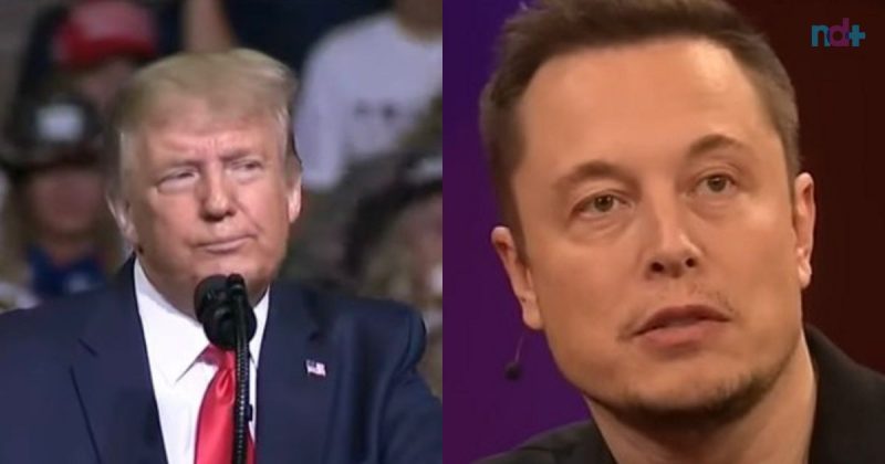 Elon Musk reativou a conta do ex-presidente Donald Trump no Twitter – Foto: Reprodu&ccedil;&atilde;o