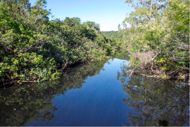 Corpo da v&iacute;tima foi encontrado boiando no Rio Papaquara – Foto: Marco Santiago/Arquivo/ND