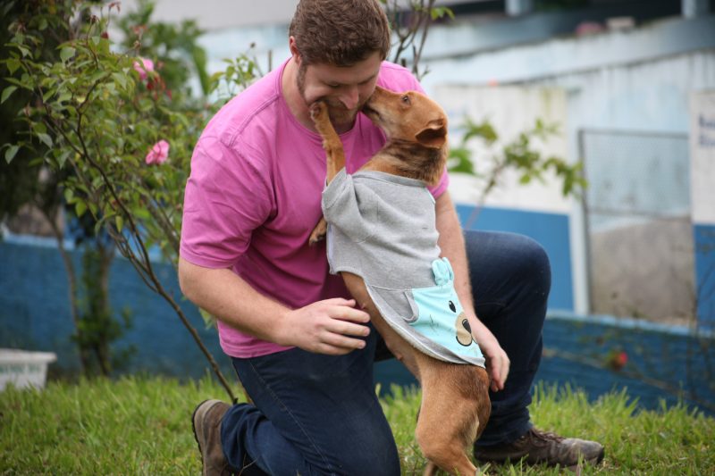 C&atilde;es e gatos estar&atilde;o dispon&iacute;veis para ado&ccedil;&atilde;o neste s&aacute;bado (12) – Foto: Prefeitura de Itaja&iacute;/Divulga&ccedil;&atilde;o/ND