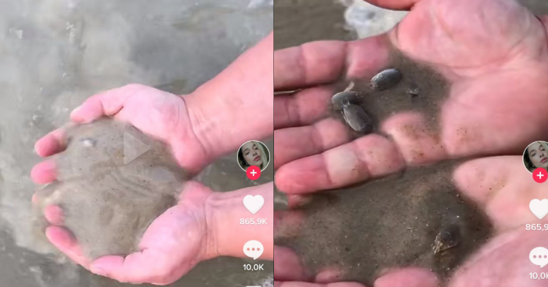 Mulher revela que namorado come tatu&iacute;ras – Foto: TikTok/Reprodu&ccedil;&atilde;o/ND