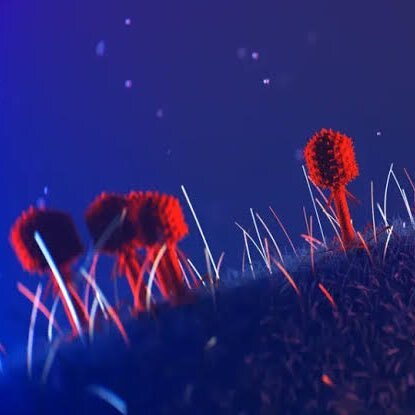 Imagem ilustrativa de vírus