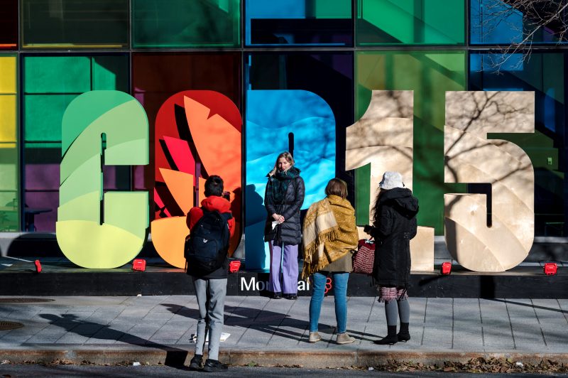 Delegates take pictures in front of the COP15 logo at the United Nations Biodiversity Conference (COP15) in Montreal, Quebec, on December 13, 2022. (Photo by ANDREJ IVANOV / AFP) – Foto: ANDREJ IVANOV/AFP/ND