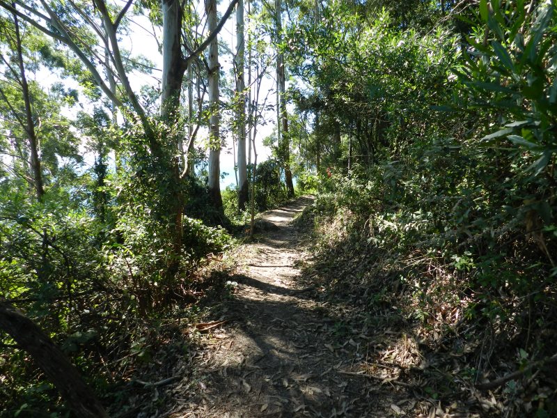 Trilha do Morro do Macaco, em Bombinhas – Foto: Keli Benvegn&uacute;