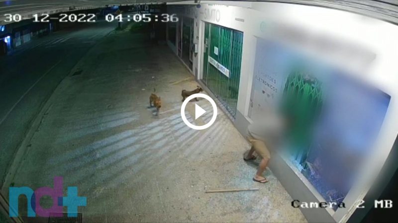 Homem quebra vidra&ccedil;a de loja com pedra e peda&ccedil;o de madeira – Foto: Imagens cedidas/R&aacute;dio Cidade FM de Brusque/Divulga&ccedil;&atilde;o/ND
