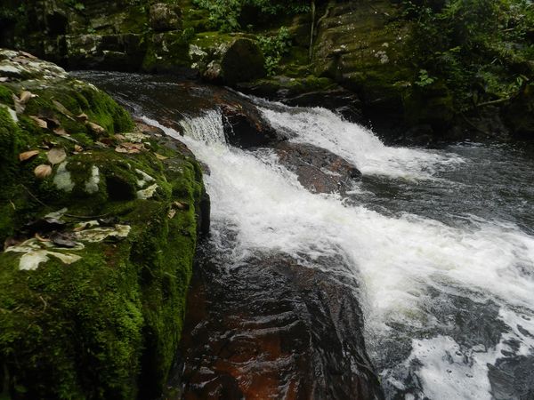 A Rota recebia milhares de pessoas ao ano, em busca das belezas naturais &#8211; Foto: Internet/Reprodução/ND