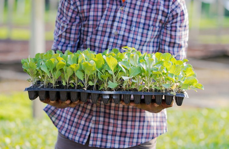 Instrumento &eacute; utilizado para identificar e qualificar as Unidades Familiares de Produ&ccedil;&atilde;o Agr&aacute;ria – Foto: Mapa/ND