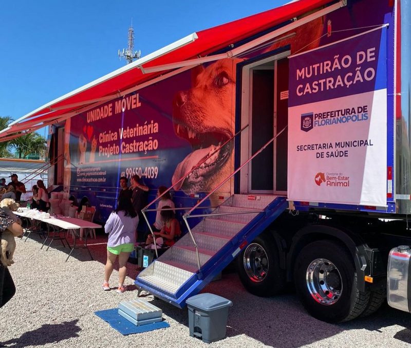 Mutir&atilde;o de castra&ccedil;&atilde;o ser&aacute; realizado nesta quarta-feira (7), no Rio Vermelho – Foto: @dibeapmf/Instagram/Reprodu&ccedil;&atilde;o/ND