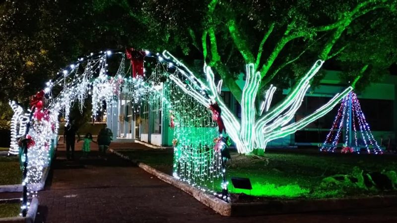 Eduardo Vieira, empres&aacute;rio da cidade, elogiou a programa&ccedil;&atilde;o e disse que os enfeites natalinos, bem como a programa&ccedil;&atilde;o, trazem um &ldquo;novo ar&rdquo; para a cidade. &ldquo;A partir de hoje teremos um novo clima, as pessoas v&atilde;o frequentar os espa&ccedil;os e isso traz uma nova perspectiva para a cidade&rdquo;, disse Vieira.