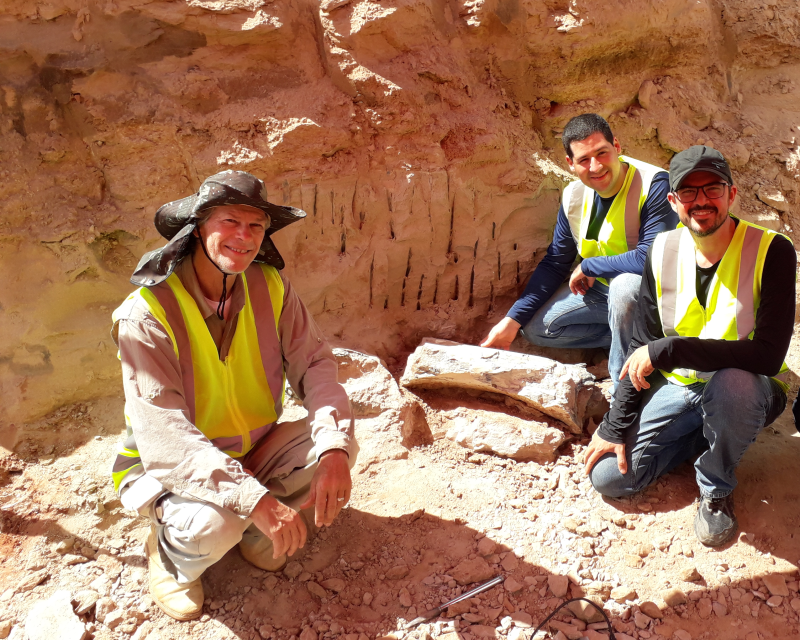 Profissionais posam ao lado de f&oacute;ssil do dinossauro encontrado – Foto: Prefeitura de Mar&iacute;lia/Divulga&ccedil;&atilde;o/ND