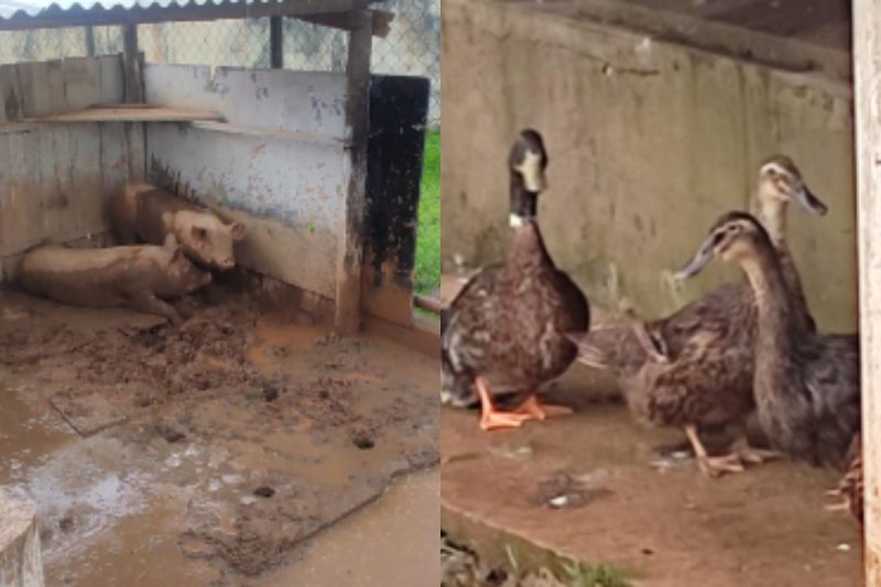 Representantes de v&aacute;rios &oacute;rg&atilde;os fizeram vistoria no local – Foto: MP/Divulga&ccedil;&atilde;o