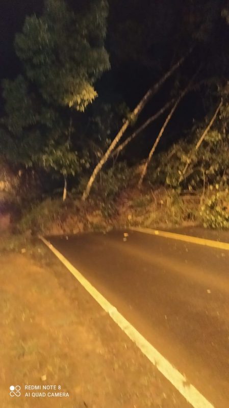 Deslizamentos em Benedito Novo – Foto: Reprodu&ccedil;&atilde;o/ND