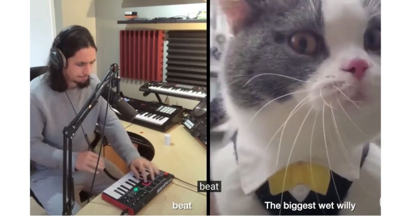 The Kifness e o gato cantor “Big Billy”, parceria perfeita que est&aacute; bombando nas redes – Foto: Reprodu&ccedil;&atilde;o