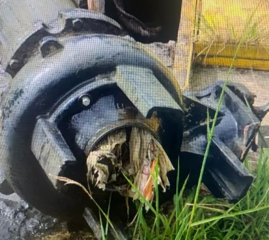 Prefeitura de Florian&oacute;polis multa Casan em 1,5 milh&atilde;o por extravasamento de esgoto no Rio do Br&aacute;s – Foto: PMF/Divulga&ccedil;&atilde;o/ND