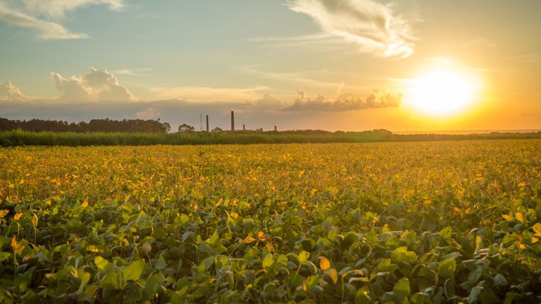 No Sul, a redu&ccedil;&atilde;o das chuvas em grande parte da regi&atilde;o influenciada principalmente pela persist&ecirc;ncia do fen&ocirc;meno La Ni&ntilde;a – Foto: MAPA/ND