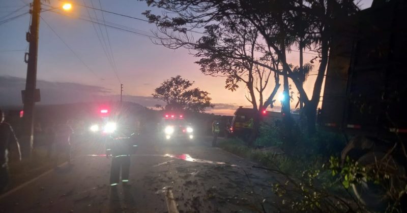Motorista da caminhonete morreu na hora – Foto: Bombeiros/Divulga&ccedil;&atilde;o