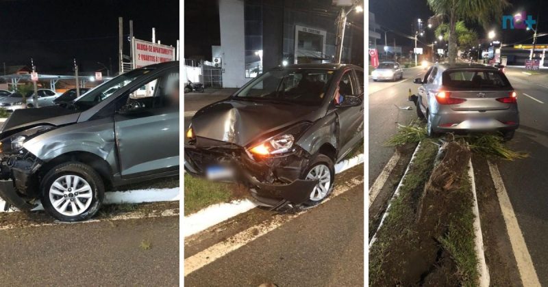 Motorista invadiu canteiro e bateu contra coqueiro – Foto: Pol&iacute;cia Militar/Reprodu&ccedil;&atilde;o