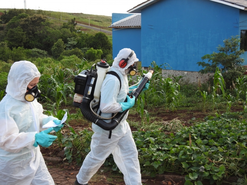 paciente com dengue em são miguel do oeste