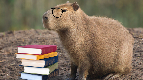 Vídeo mostra capivara se refrescando na praia de Santa Clara