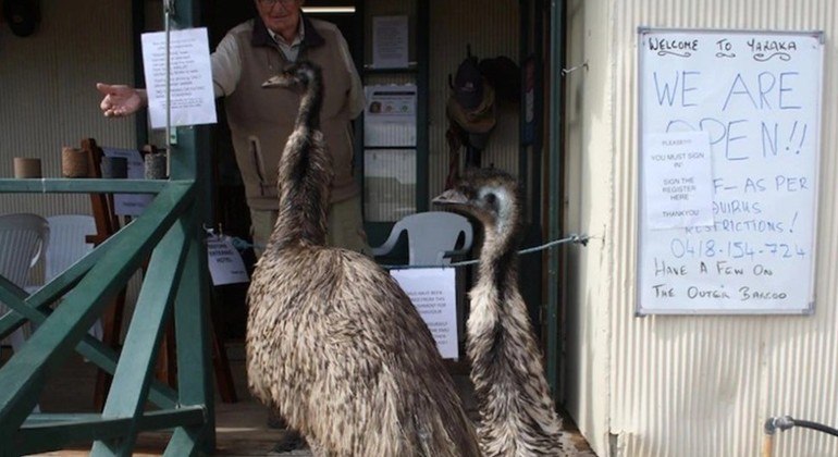 Kevin e Carol n&atilde;o podem entrar mais no bar do hotel – Foto: REPRODU&Ccedil;&Atilde;O/CHRIS GIMBLETT/YARAKA HOTEL