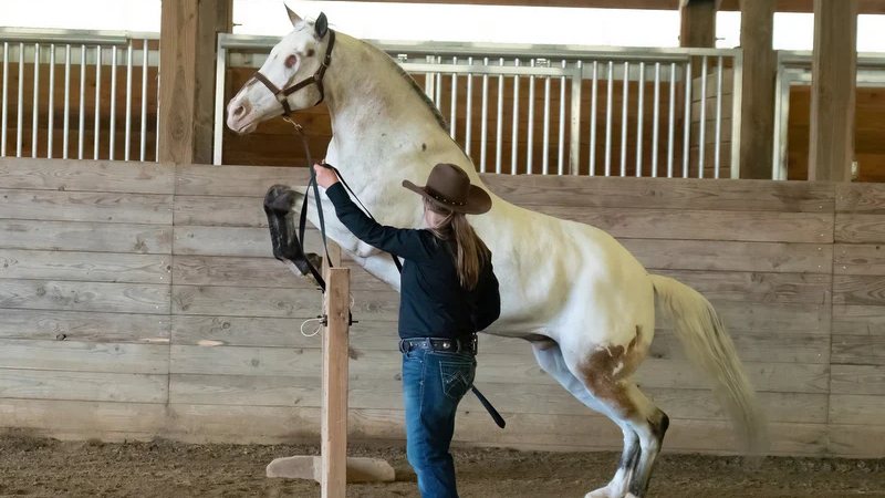 “Endo, o cego” j&aacute; virou lenda ap&oacute;s recordes no Guinness – Foto: Reprodu&ccedil;&atilde;o