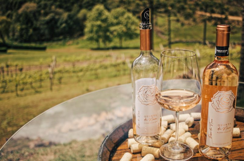 Santa Catarina conta com mais de 20 vin&iacute;colas – Foto: Assessoria Quinta da Neve/Divulga&ccedil;&atilde;o