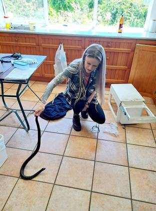 Cobra arisca invade casa no Vietnã e criança é salva pelo pai; veja