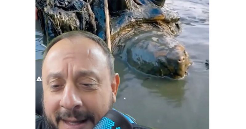 Pescadores japoneses capturaram figura m&iacute;tica e bi&oacute;logo desvenda o mist&eacute;rio – Foto: Reprodu&ccedil;&atilde;o