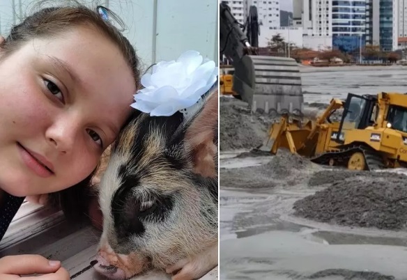 10 mat&eacute;rias mais acessadas no ND+ – Foto: Montagem/ND