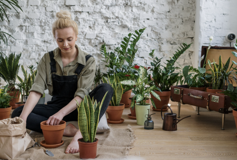 A semana se inicia com a energia da Lua Nova em Capric&oacute;rnio, ideal para plantar “novas sementinhas” para o pr&oacute;ximo ciclo&nbsp;– Foto: cottonbro studio/Pexels/Divulga&ccedil;&atilde;o/ND