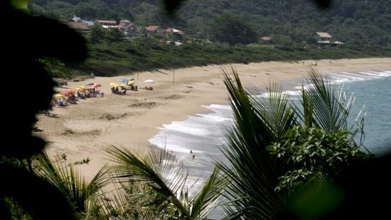 Duas praias de SC perdem o selo Bandeira Azul; entenda, Santa Catarina