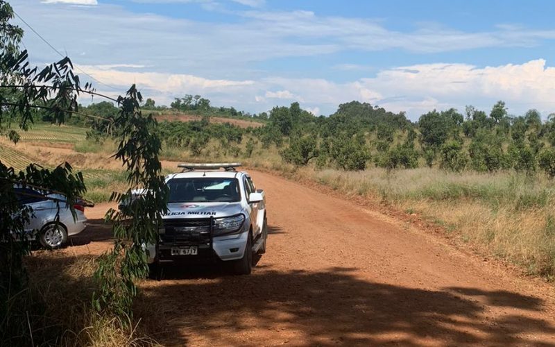 corpo no interior de xaxim