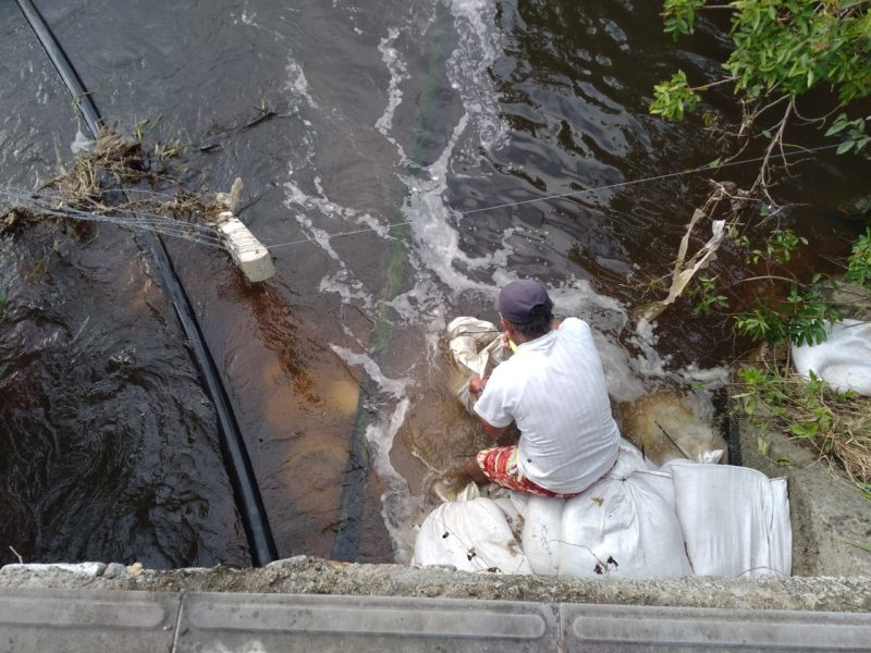 Cerca de 20 populares participaram da remo&ccedil;&atilde;o das sacas – Foto: N&iacute;colas Hor&aacute;cio/ND