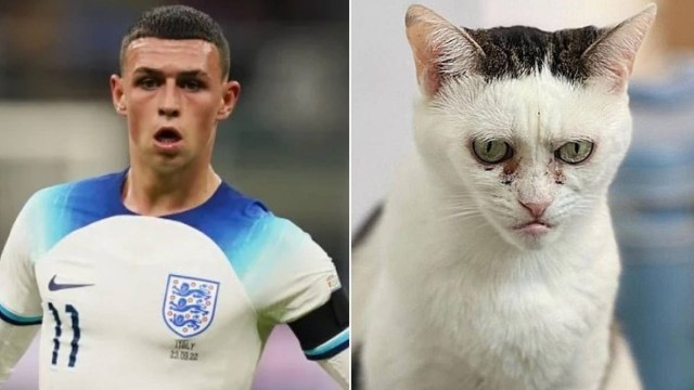 Sósia felino de Phil Foden viraliza na web