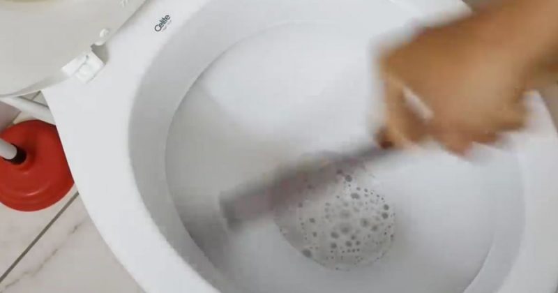 Dona de casa ensina macete que mant&eacute;m limpo vaso sanit&aacute;rio por um m&ecirc;s – Foto: Reprodu&ccedil;&atilde;o