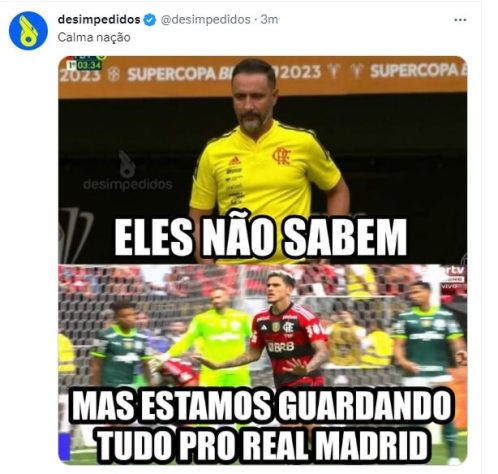 VEJA OS MEMES E AS ZUERAS COM OS FLAMENGO APÓS TÍTULO DO PALMEIRAS NA  SUPERCOPA 